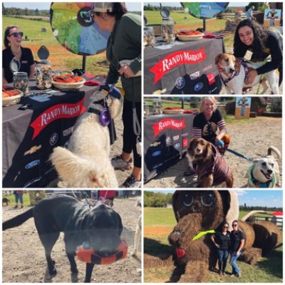 Dogtoberfest at Rescue Ranch