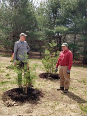 10th Annual Lone Tree Hill Volunteer Day