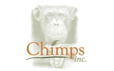 partnerCompanyName