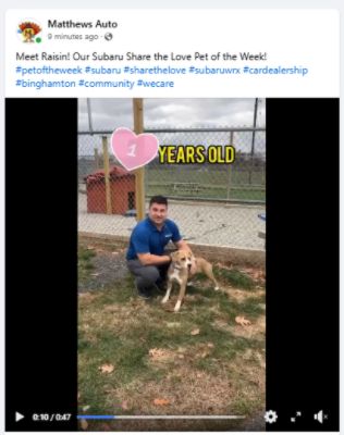 BC Humane Society: Pet of the Week