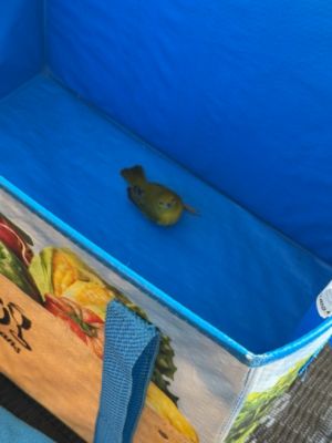 Ramsey Subaru Cares For Wildlife