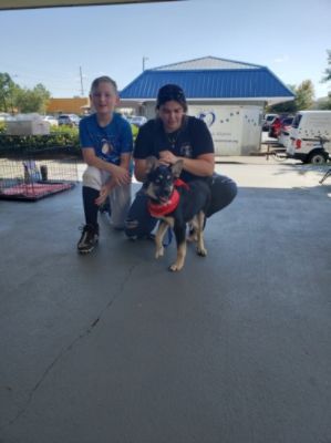 Cross Creek Subaru Loves Pets Adoption Event