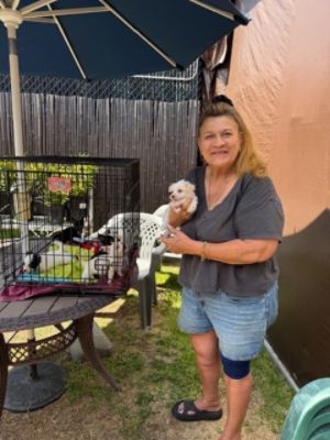 Providing Forever Homes