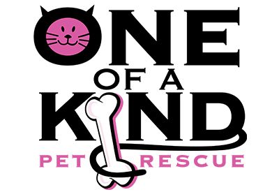 One of a kind pet rescue