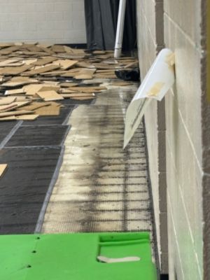 Fueled by Love, Driven by Community