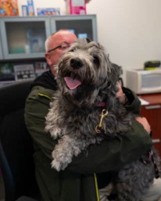 Pippa’s Happily Ever After Begins