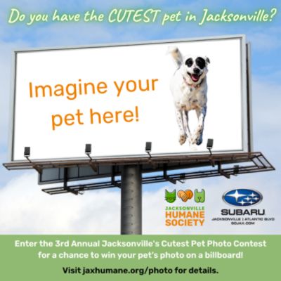 Jacksonville Humane Society's Cutest Pet Contest presented by Subaru of Jacksonville 
