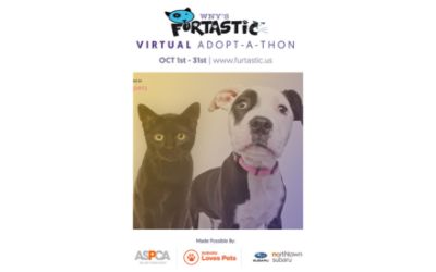 WNY's Furtastic Adopt-A-Thon Goes Virtual 