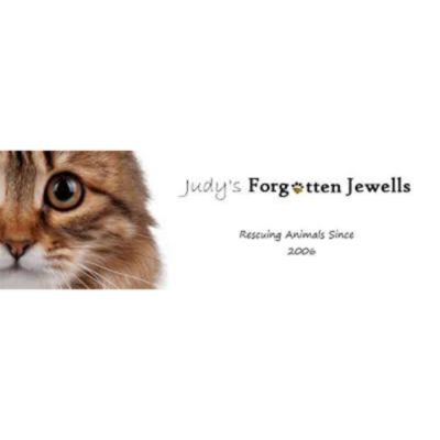 Judy's Forgotten Jewells