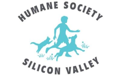 Humane Society Silicon Valley