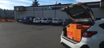 Giving newly adopted dogs a running start!