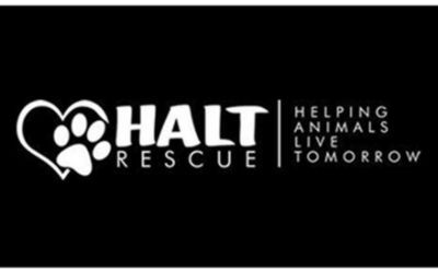 Sangera Subaru helps Pets here in Kern County!