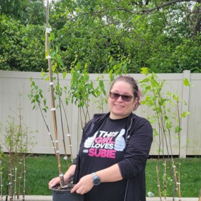 Planting the Future: Growing a Greener St. Louis Together