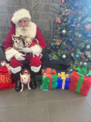 Santa Photos with South Lake Animal League!