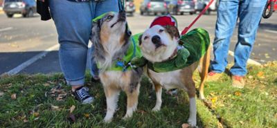Pet Carnival for the Humane Society of the Black Hills
