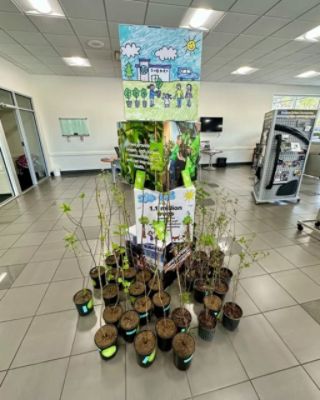 Planting Roots for a Greener Future #SubaruLovesTheEarth