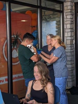 Wenatchee Valley Humane Society and  Subaru Loves Pets Adoption Event