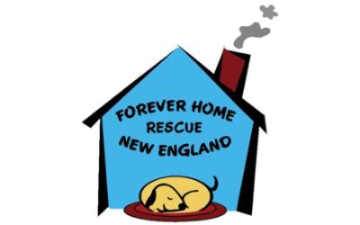 Forever Home Rescue New England, Inc