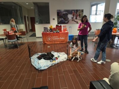 Celebrating Shelter Animals at IRA Subaru