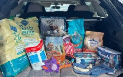 Rescue Dog of the Day donates petfood to needy pet