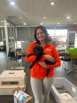 Humane Society of Union County Pet Adoption at Williams Subaru