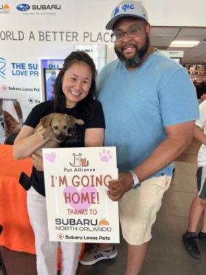 Subaru North Orlando Loves Helping Pets Find Furever Homes