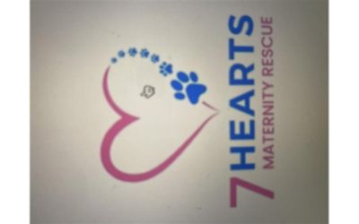 partnerCompanyName