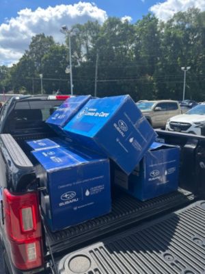 BERGEYS SUBARU LOVES TO CARE