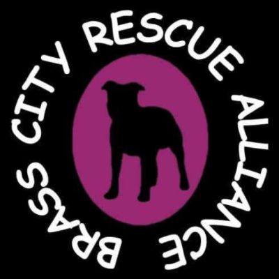 Brass City Rescue
