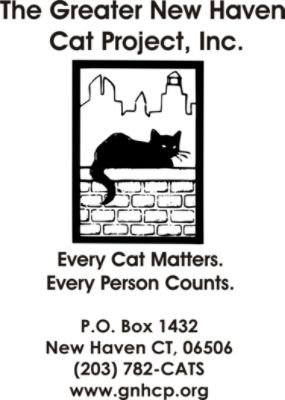 The Greater New Haven Cat Project