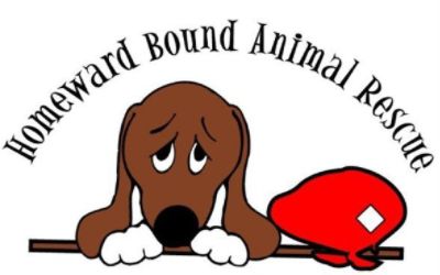 Homeward Bound Animal Rescue 