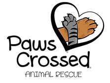 Paws Crossed