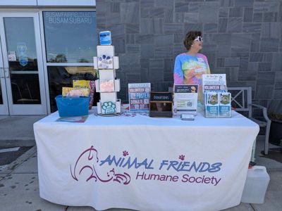 Busam Subaru Hosts Animal Humane Society for Pet Adoption Event!