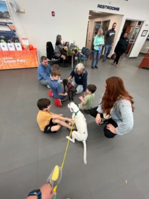 Exeter Subaru and Mary's Dogs Rescue & Adoption