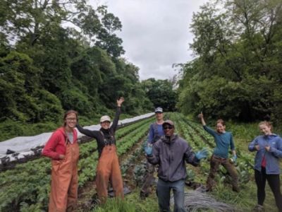 Waltham Fields Community Farm