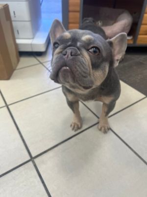 Suburu shares the love with community pets and the people who love them!