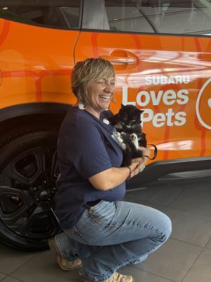 Gordy Crowned Cat Winner in the Pets of the Year Contest