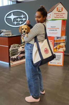 PAWS loves Ciocca Subaru
