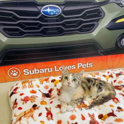 C & S Subaru Loves Pets!
