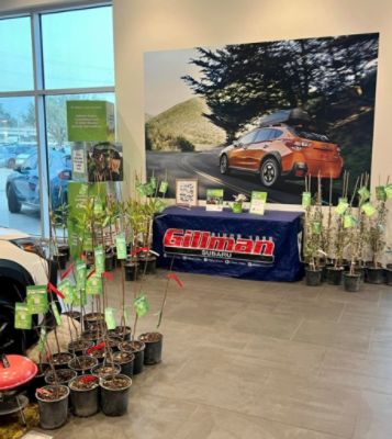 Gillman Gives Away Trees for Earth Day