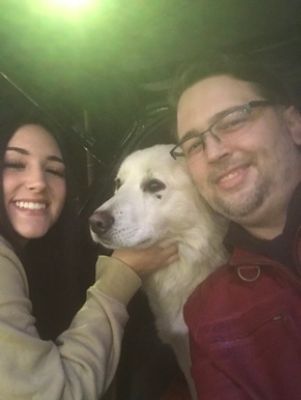 Lost Dog... Owner's Found!