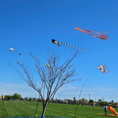 Maita Subaru of Sacramento helps support the 4th Kites for Kids North Natomas Kite Festival! 😃