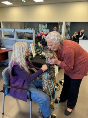 Subaru Loves Pets Adoption Event Sparks Joy and Hope for Puppies and Families