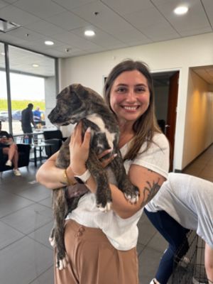 Humane Society of Union County Pet Adoption at Williams Subaru