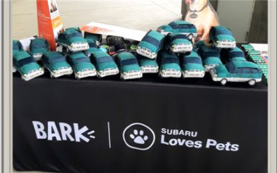 Subaru Loves Pets - Adoption Day 2021