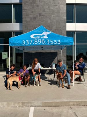 From Shelter to Showroom, Love Finds a Way