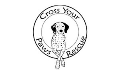 Cross Your Paws Rescue