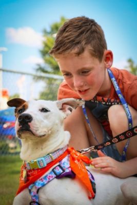 Humane Society of Pulaski County Loves Subaru of Little Rock!