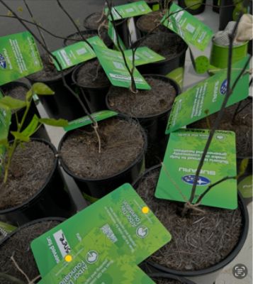 An Earth Day Rooted in Giving Back