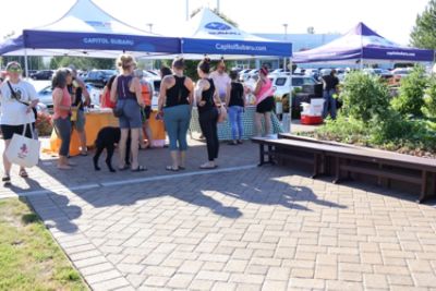 Yappy Yoga a Huge Success